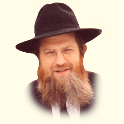 Rabbi Dov Tzvi Sinason
